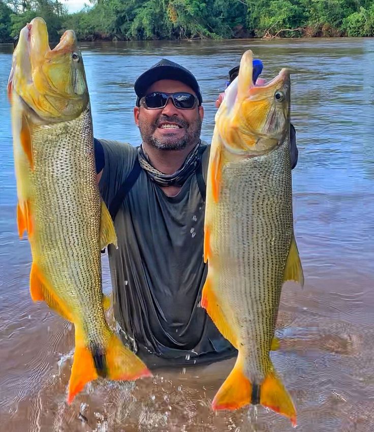 files/Duble_de_dourados_do_parceiro_mazafishing.jpg